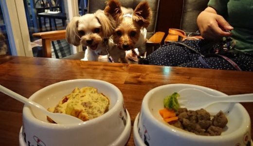 まんなかバースディ！３ワンのお誕生日会！＜ドッグカフェ編＞
